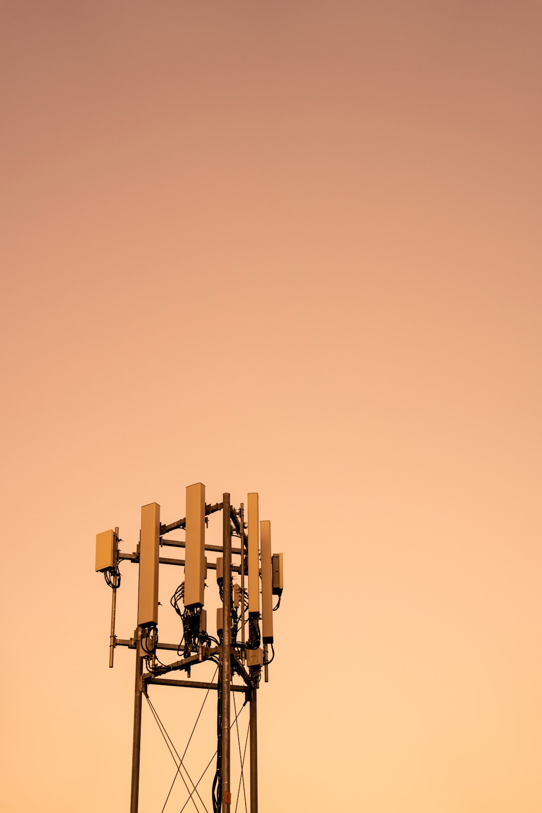 Its a Cell Tower!