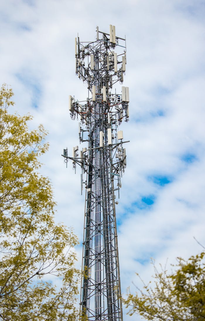 From below of cellular base station with electronic devices and antennas between trees in daytime