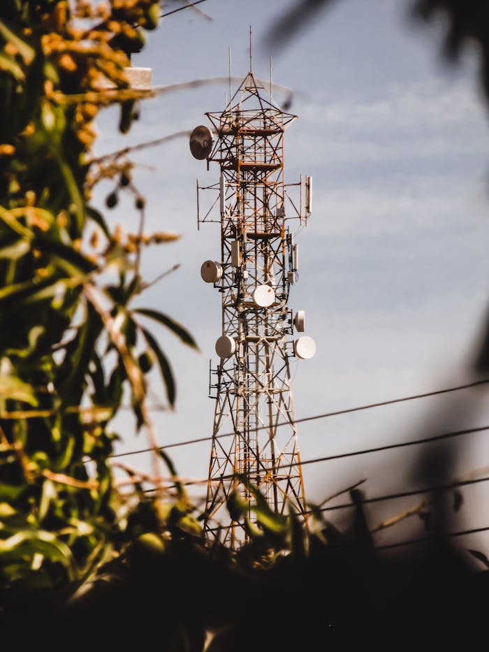 Transmission tower amidst foliage with a clear blue sky in Estrela DOeste, Brazil.